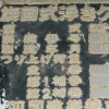 IMGP6863