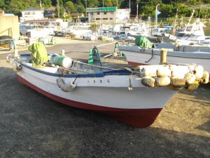 IMGP3490