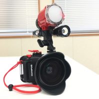 TG-4