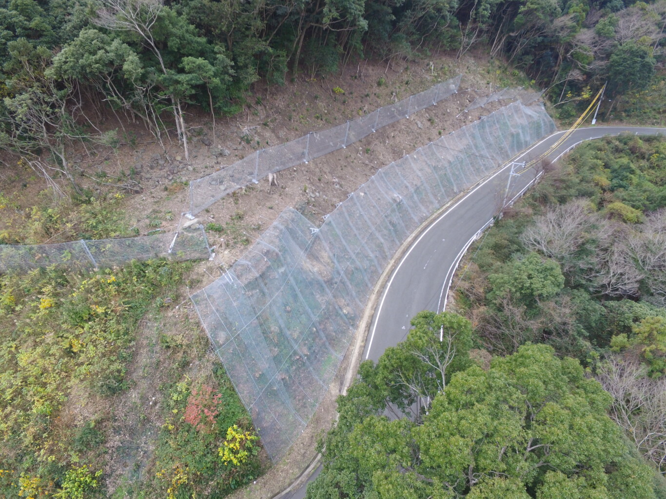 一般県道俵ヶ浦日野線道路災害防除工事（落石対策工その1） 長崎県県北振興局 佐世保市　庵浦町